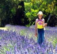 Brayfield Park Lavender Farm - Hotel WA