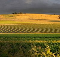 Kellermeister Wines - Hotel WA