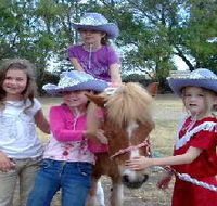 Amberainbow Pony Rides - Hotel WA