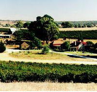 Irvine Wines - Hotel WA