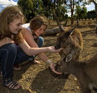 Kangaroo Island Wildlife Park - Hotel WA