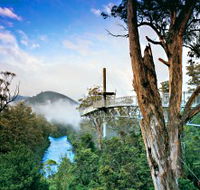 Tahune Adventures Tasmania - Hotel WA