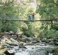 Arve Forest Drive - Hotel WA