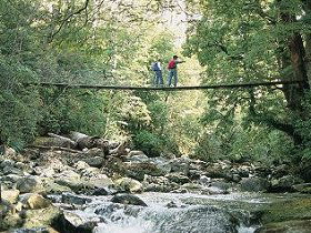 Arve Forest Drive - Hotel WA 0