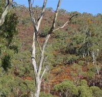 Black Hill Conservation Park - Hotel WA