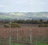 Mclaren Vale Premium Wines - Hotel WA