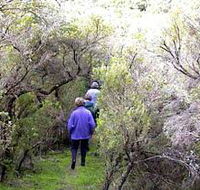 Jack And Hilda McArthur Walk - Hotel WA