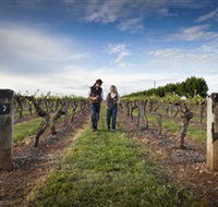 Coonawarra Wineries Walking Trail - Hotel WA