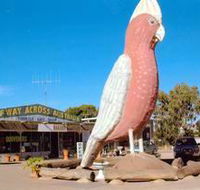 The Big Galah - Hotel WA