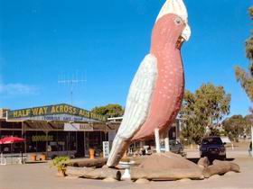 The Big Galah - Hotel WA 0