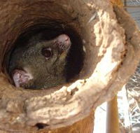 Mulga Sanctuary and Wildlife Park - Hotel WA