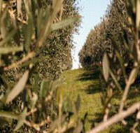 Evilo Estate - Hotel WA