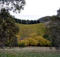 Mt Bera Vineyards - Hotel WA