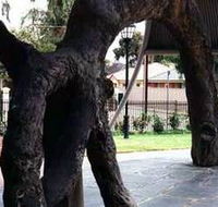Old Gum Tree - Hotel WA