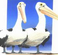 Bay of Shoals Wines - Hotel WA