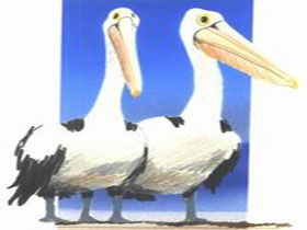 Bay Of Shoals Wines - Hotel WA 0