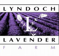 Lyndoch Lavender Farm and Cafe - Hotel WA