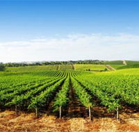 Aldinga Bay Winery - Hotel WA