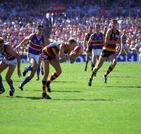 AAMI Stadium Tours - Hotel WA