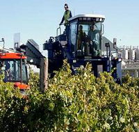 Ballast Stone Estate Wines Pty Ltd - Hotel WA