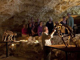 Naracoorte Caves National Park - Hotel WA 0
