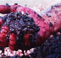 Rusden Wines - Hotel WA