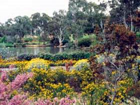 Wittunga Botanic Garden - Hotel WA 0