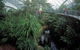 Bicentennial Conservatory - thumb 0