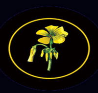 Battle of Bosworth Wines - Hotel WA