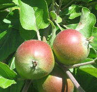 Sage Cooking School - Hotel WA