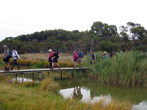 Lavender Federation Trail - Hotel WA 1