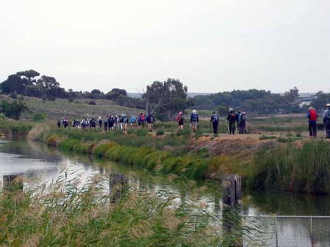 Lavender Federation Trail - Hotel WA 2