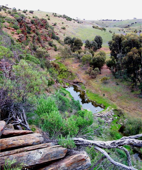 Lavender Federation Trail - Hotel WA 3