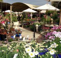 Serenity Nursery - Hotel WA