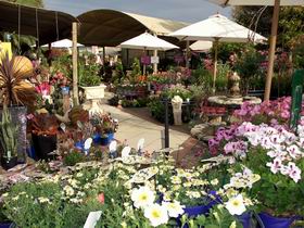 Serenity Nursery - Hotel WA 0