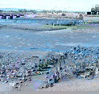 Jervois Basin Ships' Graveyard - Hotel WA