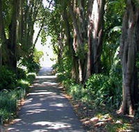 Adelaide Botanic Garden - Hotel WA