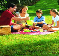 Bruny Island Berry Farm - Hotel WA