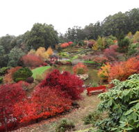 Emu Valley Rhododendron Garden - Hotel WA