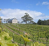 Bruny Island Premium Wines Bar and Grill - Hotel WA