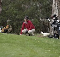 Tasmania Golf Club - The - Hotel WA