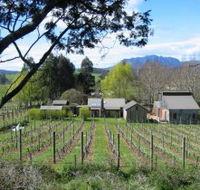 Wilmot Hills Vineyard - Hotel WA