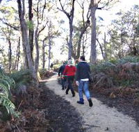 Bridport Walking Track - Hotel WA