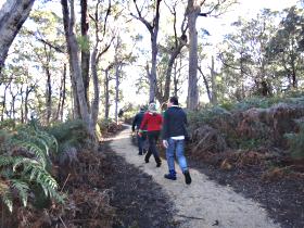Bridport Walking Track - Hotel WA 0