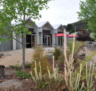 Tin Dragon Interpretation Centre and Cafe - Hotel WA