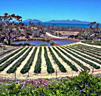 Kate's Berry Farm - Hotel WA