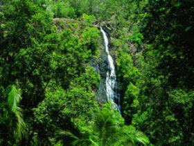 Montville QLD Hotel WA