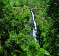 Kondalilla National Park - Hotel WA