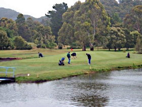 Penguin Golf Course - Hotel WA 0
