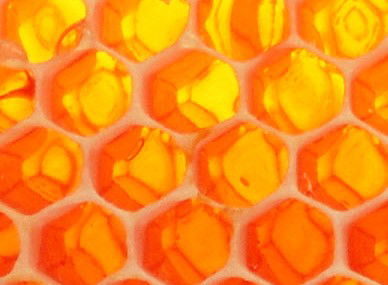 Southport Lagoon TAS Hotel WA